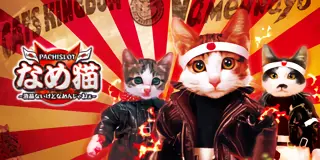 パチスロ なめ猫～液晶ないけどなめんじゃねぇ～_アイキャッチ画像
