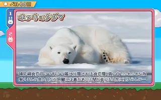 ホッキョクグマ