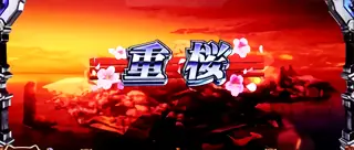 重桜 (夕方)