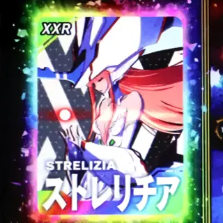 ストレリチア (虹)