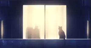 猫